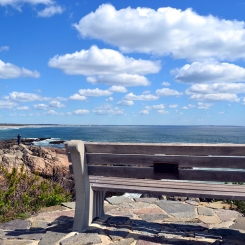 Bench on cliff near shrubbery overlooking ocean under blue sky with clouds in Ogunquit, ME