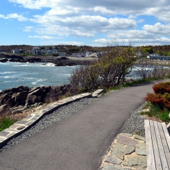 Roadway near ocean and trees under blue sky with clouds near bench in Ogunquit, ME