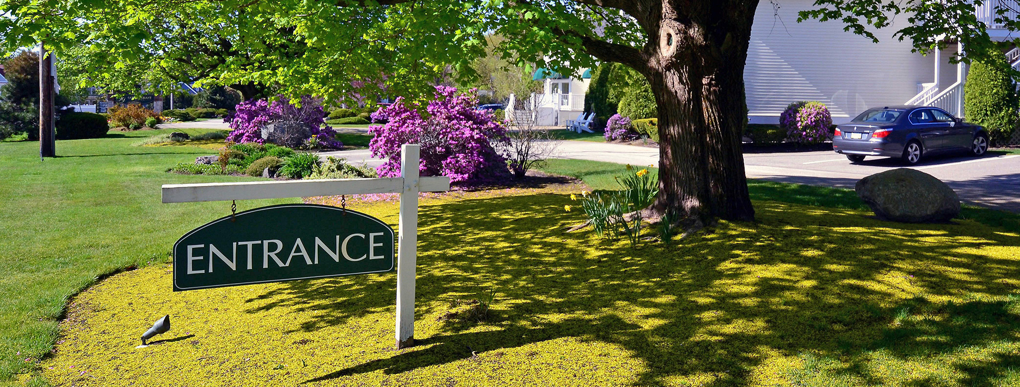 Entrance sign in front of tree on grass near parked cars in Ogunquit, ME